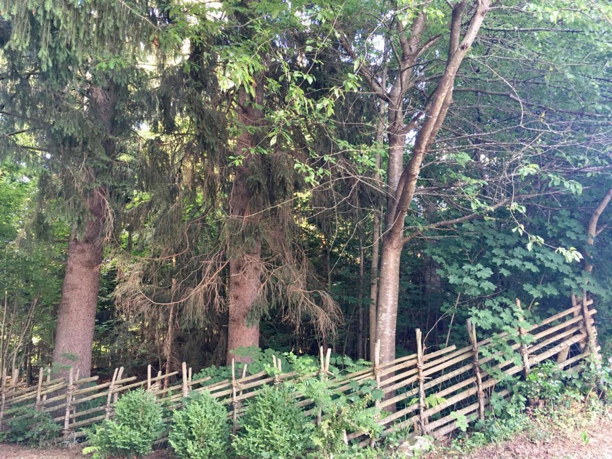 Preitenegg Naturforsthaus Ferienwohnung Fuer Hunde- Und Tierverbundene Menschen מראה חיצוני תמונה