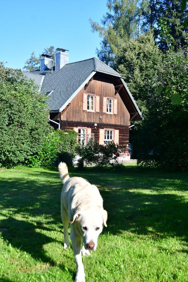 Preitenegg Naturforsthaus Ferienwohnung Fuer Hunde- Und Tierverbundene Menschen מראה חיצוני תמונה